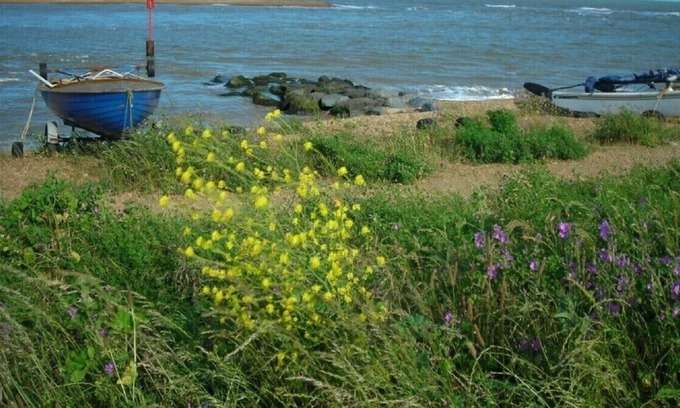 Martlesham Heath House | Golfview cottage bungalow FELIXSTOWE FERRY Suffolk Coast - Close to beach,