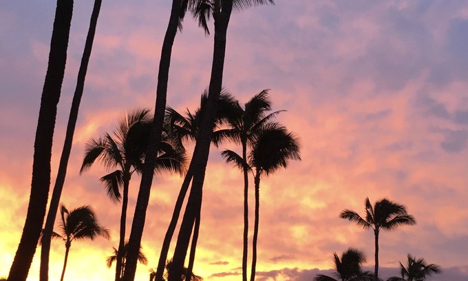 Maalaea Condo | Gorgeous Oceanfront Complex on Maui! Kanai A Nalu, with FREE parking!