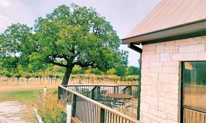 Round Mountain House | Gorgeous Vineyard Home in the middle of the Vines!