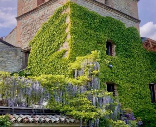 Val di Nizza House | Granaja