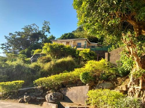 Barroui House | Grand Bay Dominica Sunrise Guesthouse