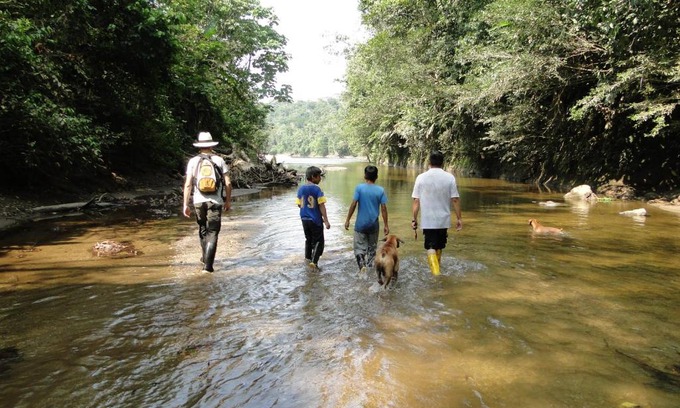 Puerto Misahualli Hostel | Grand Selva Lodge & Tours