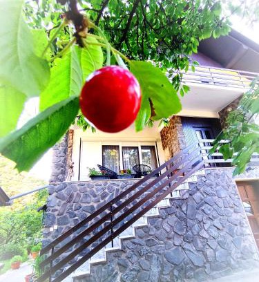 Velika Apartment | Grandma's apartment