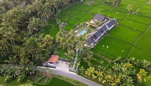 Mas House | Green Coconut Cottage