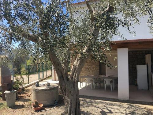 Castiglione della Pescaia Apartment | green holiday