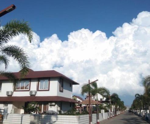 Navsari House | Green Paradise