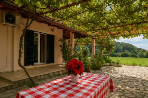 Sidari House | Green Yard Family Holiday Home Sidari Corfu