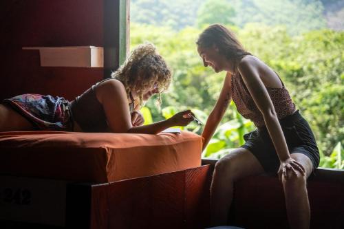 Chicanutz House | Greengos Hotel