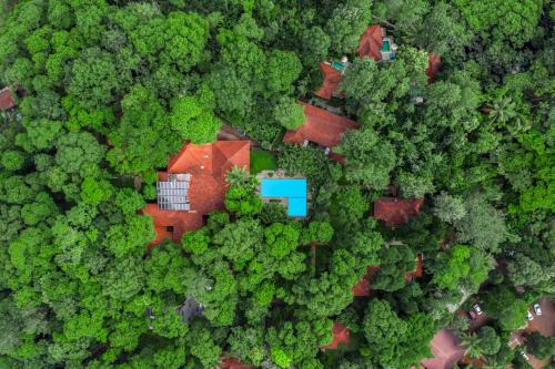 Vazhayil Resort | Greenwoods Resort, Thekkady