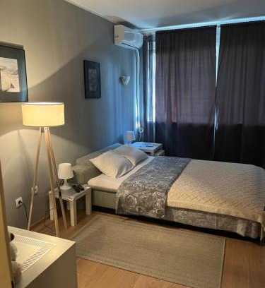Banovo brdo Apartment | Grey