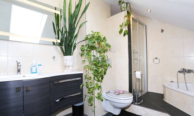 Ziesendorf Apartment | Große Ferienwohnung Mitten im Grünen