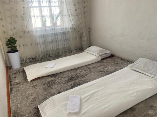 Naryn Region House | Guest House Aitunuk