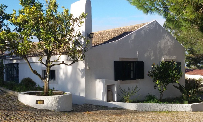 Sao Lourenco Cottage | Guest House in Azeitao, Arrábida, near the beaches and fantastic views