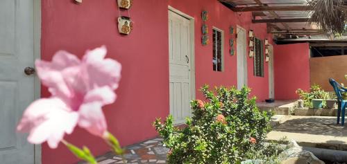 Moyogalpa House | Guest House Nena