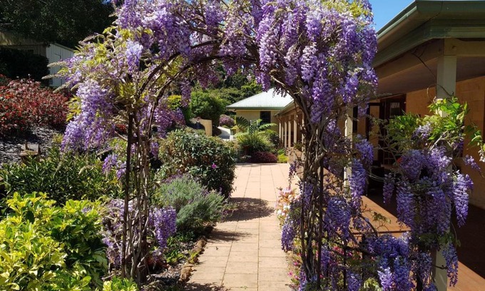Flaxton Bed & Breakfast | Gumtree House Montville