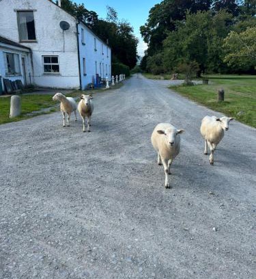 South Tipperary House | Gurteen farm house