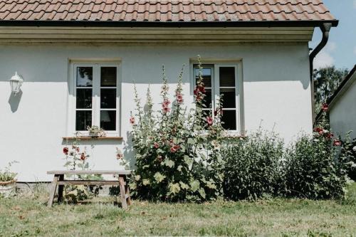 Rugen Island Apartment | Gutshaus Krimvitz Ferienwohnung auf Rügen