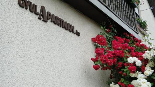Gyula Apartment | GyulApartman