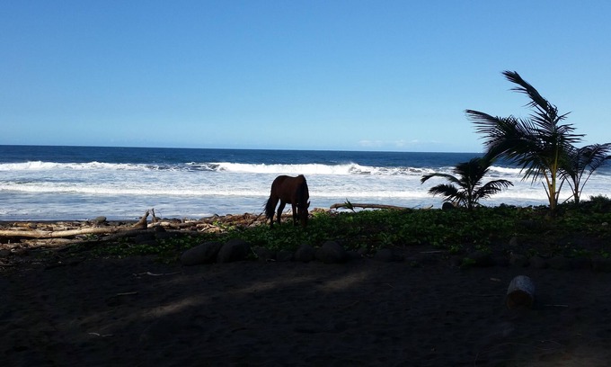 Ninole House | Hamakua Pukana La Hale 3 Bedroom Home by RedAwning