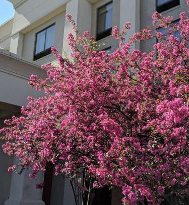 West Chester Hotel | Hampton Inn & Suites Cincinnati-Union Centre