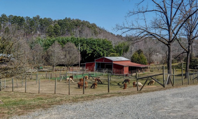 Murphy Cabin | Handicap Accessible Log cabin 20ft off Cobb Creek - Historic Cobb Estate Cir1861