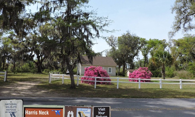 Valona Cabin | Harris Neck National Wildlife Refuge Cabin - Suite B