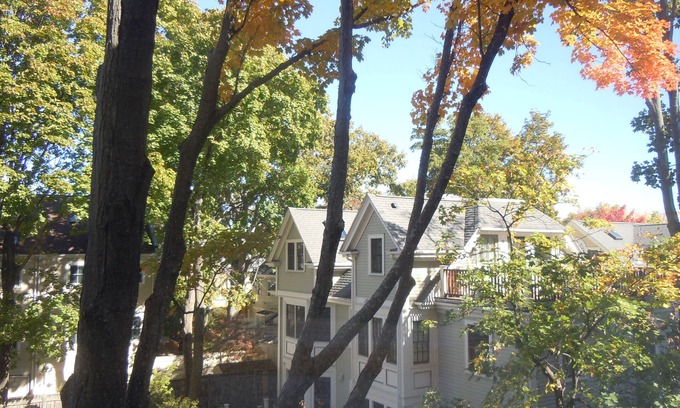 Mid-Cambridge Apartment | Harvard Square!