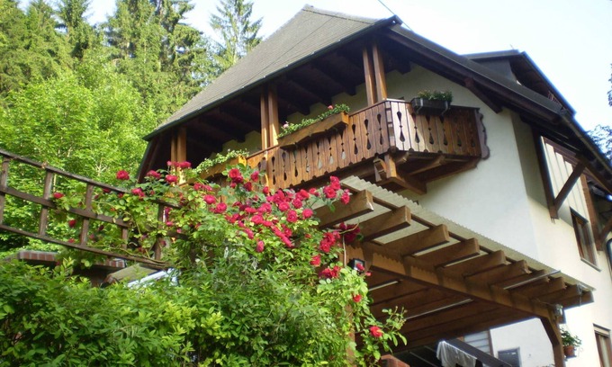 Kappel Apartment | Haus am Bach - Apartment 30sqm, 1 living room/bedroom, max. 3 persons