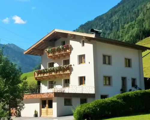 Mittersill Apartment | Haus Enzian