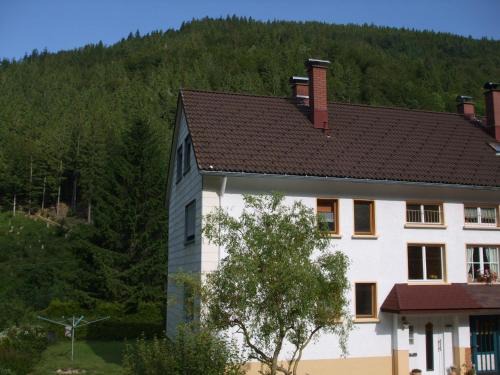 Brandenberg-Fahl House | Haus Post