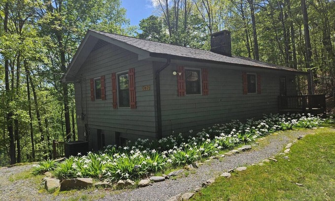 Deep Gap Cabin | Hawk Ridge Haven | Sleeps 4 | Hiking | Fishing |Co