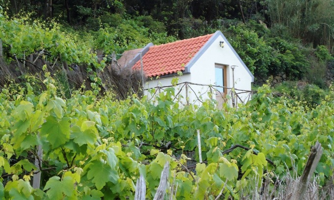 Sao Vicente House | Haystack - Family Garcês