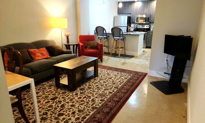 Monroe Ward Condo | Heart of the Arts District on West Broad near MCV VCU Prime Downtown near Quirk