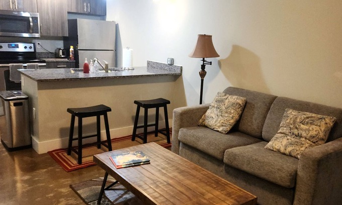 Monroe Ward Condo | Heart of the Arts - New King Suite on West Broad Condo’s next to Quirk MCV VCU
