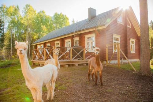 Jaala Cabin | Heinähattu