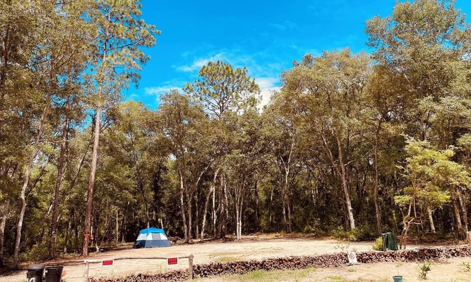 Hollister RV Rental | Hidden Florida Gem 2 Campsite
