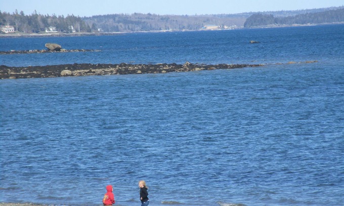 Ellsworth Apartment | HIDDEN GEM !5 MILE TO Beach, 14 Mile to Acadia, Shopping, Bar Harbor, Hiking,