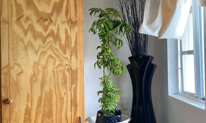 Union Island House | Hideaway in Ashton, homey atmosphere for tranquility - home away from home.