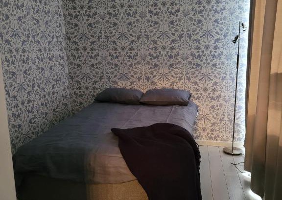 Aanekoski Apartment | Hietman vierastalon sininen huone