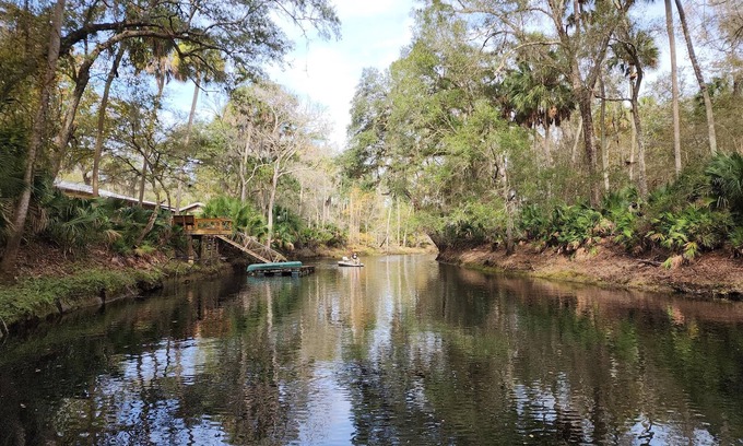 Steinhatchee House | "High On The River" a quaint cabin resting along the upper Steinhatchee River.