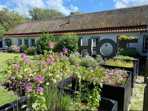 Dishoek House | Hof Aan Zee