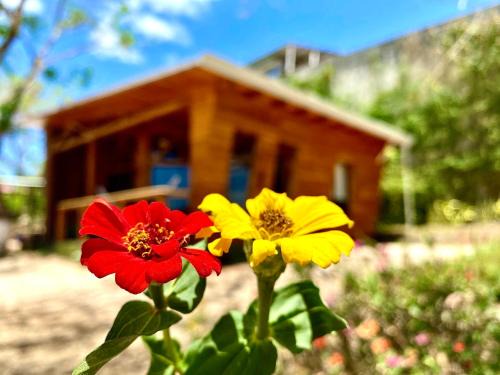 Hojancha Ski Chalet | Hoja Azul