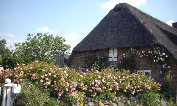Emmelsbuell-Horsbuell Apartment | Holiday apartment Gotteskoogdeich for 1 - 5 persons with 1 bedroom - Holiday apartment in one or mul