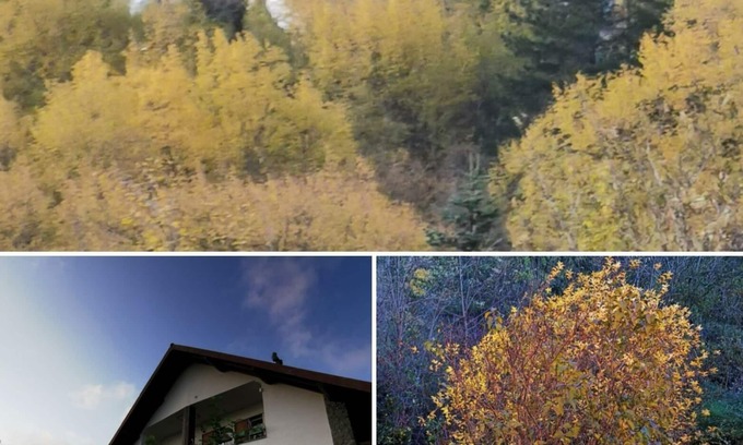 Borzonasca Apartment | Holiday apartment Borzonasca for 1 - 6 persons with 2 bedrooms - Holiday apartment