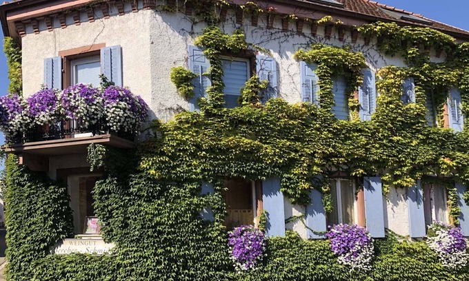 Oberrotweil Apartment | Holiday apartment Monet in Oberrotweil