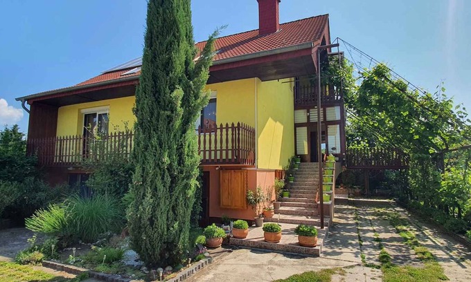 Balatonboglar Apartment | Holiday apartment with air conditioning, barbecue facilities and internet