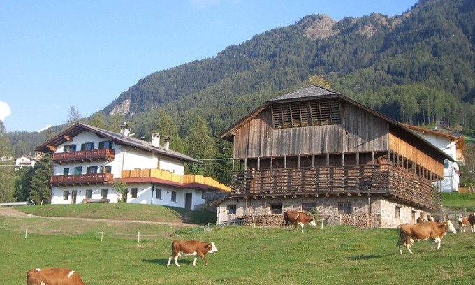 Castelrotto Other | Holiday apartment Kastelruth for 1 - 4 persons with 1 bedroom - Farmhouse