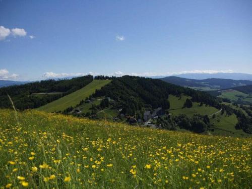 Sankt Urban House | Holiday apartment with 2 bedrooms