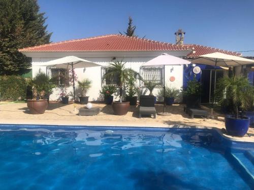 Locaiba House | Holiday Home in Albox with Pool