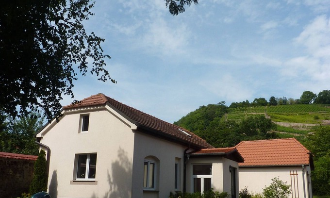 Niederloßnitz House | Holiday home in green with view of the vineyards
